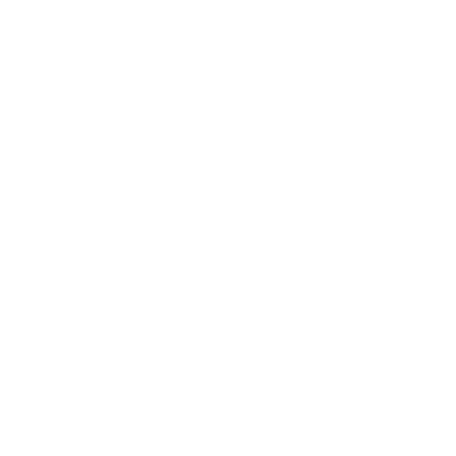 The Fifth Consulting Logo